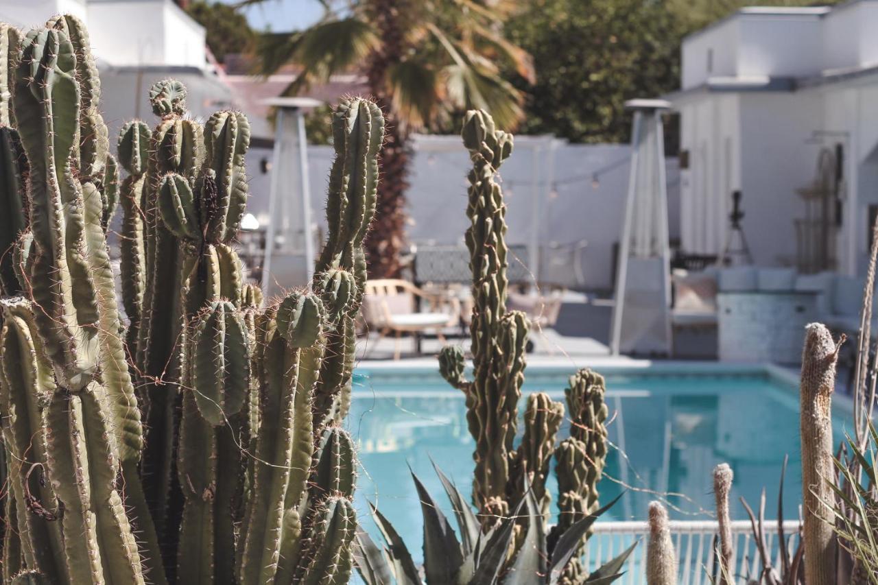 Bed and Breakfast The Westcott Palm Springs Esterno foto